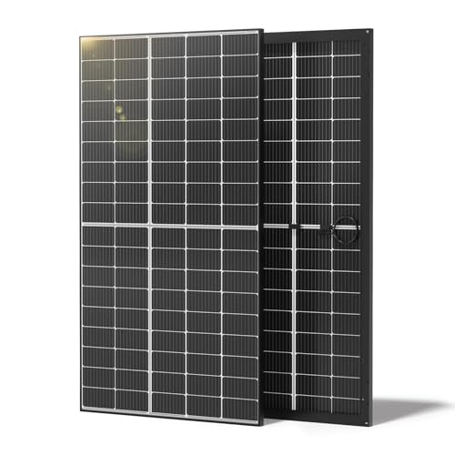 Renogy Solar Panels 640 Watts 12V/24V 2PCS 320W Bifacial Solar Panel Monocrystalline On/Off Grid...