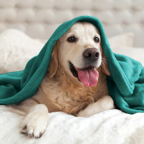Image of BEDELITE Fleece Blanket Emerald Green Throw Blankets for Couch & Bed, Luxury Plush Cozy Fuzzy Blanket 50x60 inches, Super Soft Warm Lightweight Throw Blanket for Travel Camping