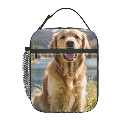 MXDLKSWPOH Lonchera para mujeres y hombres, lonchera aislada Golden Retrievers para picnic y viajes