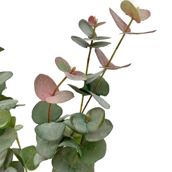 Ramo de Eucalipto Natural Preservado Eucalyptus Cinerea