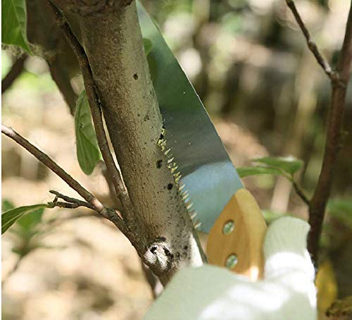 BlueNatHxRPR Hand Pruning Saw Household Garden Pruning Saw Survial Hand Saw Tool for Garden Trimming Wood Camping Tree Branches Trimming - Thumbnail 3