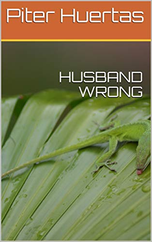 Télécharger HUSBAND WRONG (English Edition) livre En ligne