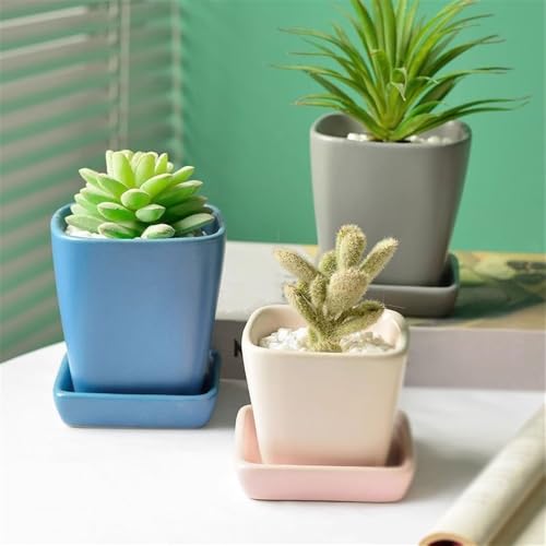 Pot de fleurs en céramique de table haute qualité avec plateau intégré - 6