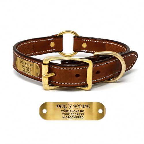 Regal Engraved Leather Dog Collar