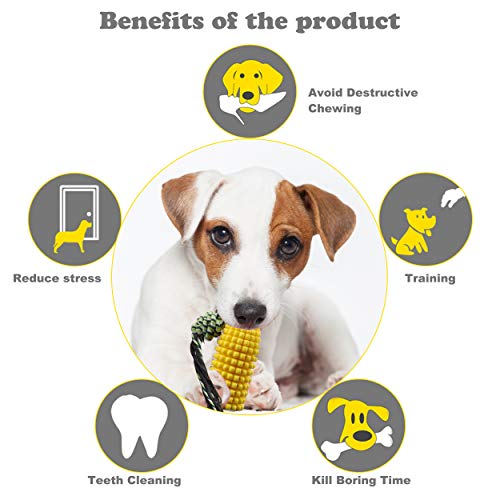 Shinmax Giocattolo da Masticare per cani