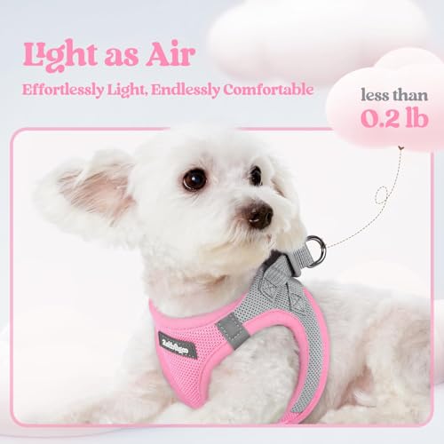 Image of rabbitgoo Dog Harness Small Sized and Leash Set, Step-in Puppy Pet Vest