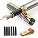 Dryden Luxury Fountain Pen [METALLIC SILVER] | Modern Classic Limited Edition | Executive Fountain Pens Set | Vintage Pens Collection | Business Gift Pen | Calligraphy | Ink Refill Converter