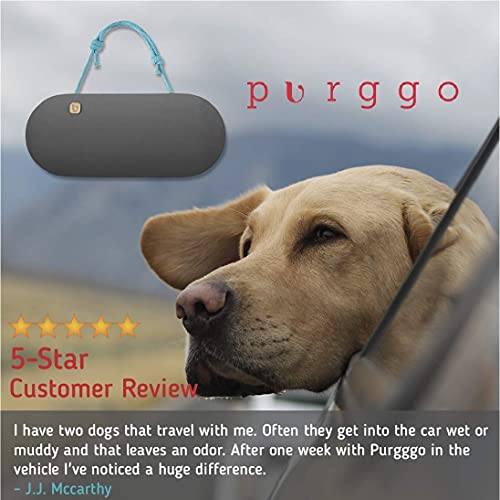 Purggo Bamboo Charcoal Car Air Freshener [1X Gray] Bundle With Shoe Odor Eliminator Air Purifying Bags [2X Gray] - Last 365+ Days - Natural, No Chemicals - Air Freshener For Car, Shoes, Closet, Fridge #TOP6