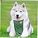 FONDOTIN Dog Chest Apron Jacket Breathable Pet Raincoat for Cats and Dogs Lightweight Neck and Belly Cover for Wet Weather Protection Green