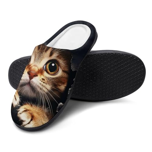 Cat Torn Cloth Women's Cotton Slippers Indoor Outdoor Slip-on Warm House Shoes with Anti-Skid Rubber Sole4