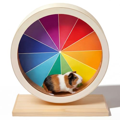 Rated 5.0 out of 5 stars from 2 reviews