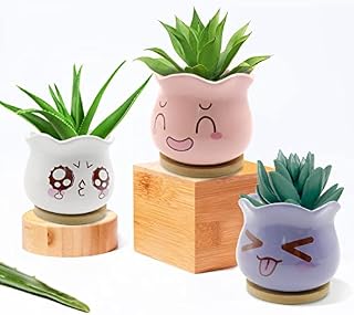 KPUY Succulent Pots,3 Pcs Ceramic Succulent Planter and Cactus Pot with Bamboo Tray with Little Drain Plates and Drainage Hole for Home and Office Decoration,Ideal for Gift.