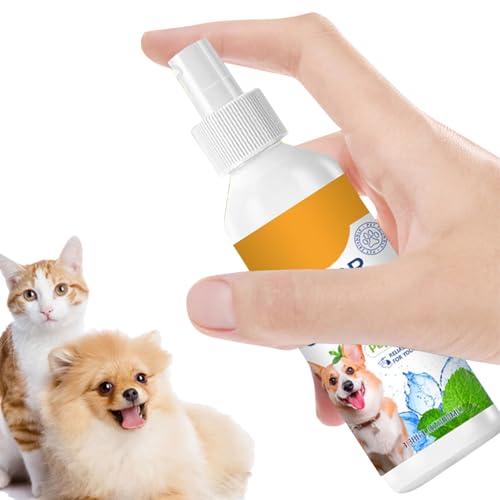 pLXv[ | q̑̏L 100ml | O ybg̍tLXv[   sp