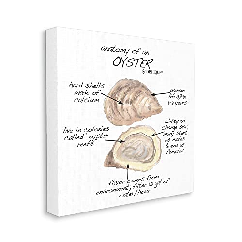 Image of 'Oyster Marine Life Anatomy Facts Educational'| Canvas Art | Stupell Industries | 30 x 30 Inches, Easy to Hang and Sturdy, Made in USA, by Dishique