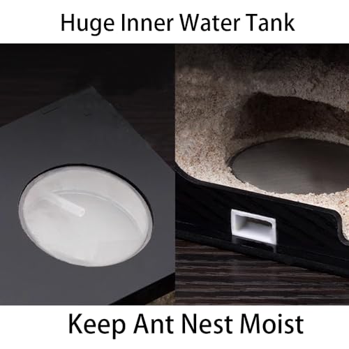 Rimsunta Ant Farm Ant House for ant Farm for Adults Study of Ant Behavior Ant Nest ant Terrarium Educational Formicarium for Live Ants and Queen,Cave Style Landscapes
