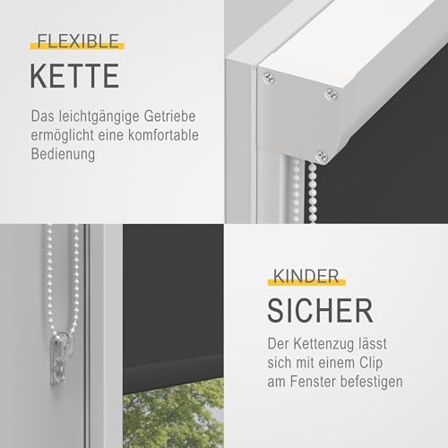 Sol Royal Kassettenrollo mit Führungsschiene SolReflect K24 60x175 cm Anthrazit - Blackout Thermorollo seitliche Führungsschienen - Befestigung ohne Bohren - Verdunkelungsrollo 60cm breit