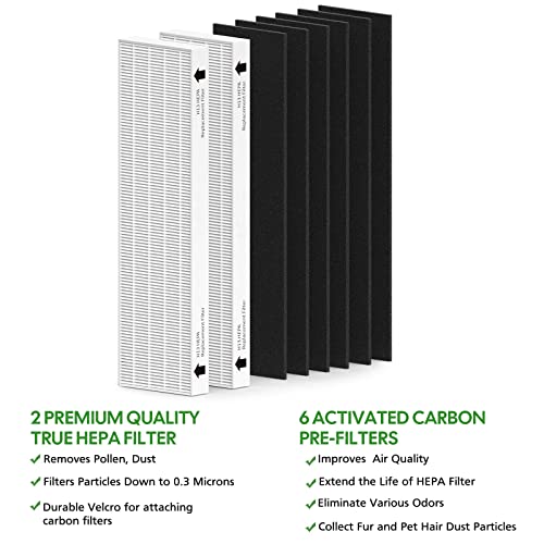 Image of 2 Pack Replacement Filter for Fellowes AeraMax 90 /100 /DX5 /DB5 Purifier, Fits Part# 9287001 & 9324001, 2 Filter and 6 Carbon Filter