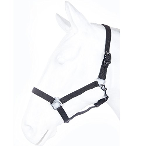 HKM by Reiterladen24 - Halfter BASICLINE schwarz Warmblut