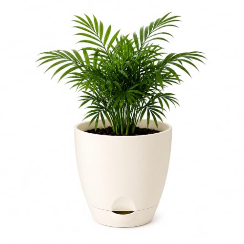 15 Artificial Plant Decorating Ideas 17 Areca Palm Plant | Indoor Live Plant with Self Watering Pot | Sma...