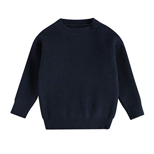 Image of Kids Toddler Baby Girl Boy Crewneck Long Sleeve Knit Sweater Casual Pullover Tops Basic Fall Winter Clothes