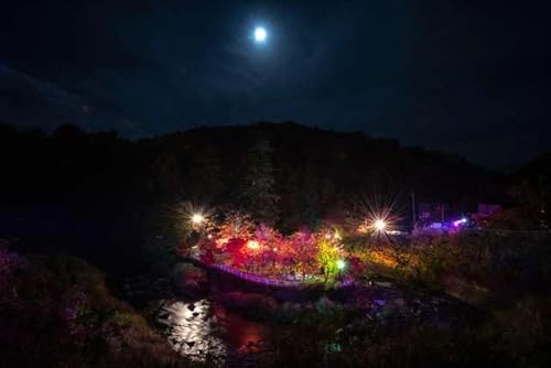 y{i|XgJ[hzX ΍s ݂R̍gtAbv̂͂ tHgJ[hyY photo by daikegoro