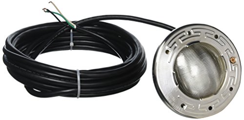 Pentair 78106000 60-watt Pool Bulb with 30-Feet Cord, 120-volt