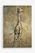 WEXFORD HOME Summer Safari Giraffe Gallery Wrapped Canvas Wall Art, 12x18, Multicolor