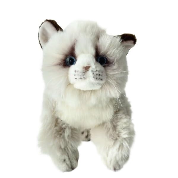 Peluche chaton pour décorer la chambre de vos enfants