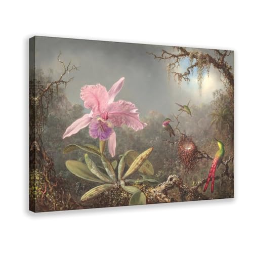 Orchidée et trois colibris affiche sur toile 40x61 cm avec cadre