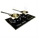TI-2C 23 inch Portable Dual Induction Glass-Ceramic Cooktop, 1750W, UL1026 Certified