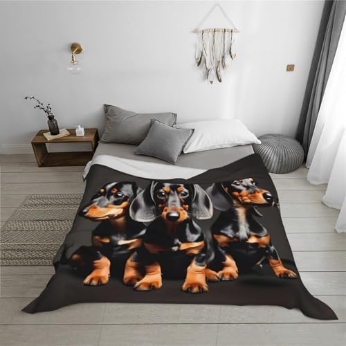 Couverture douce teckel lavable en machine pour toutes saisons - 6