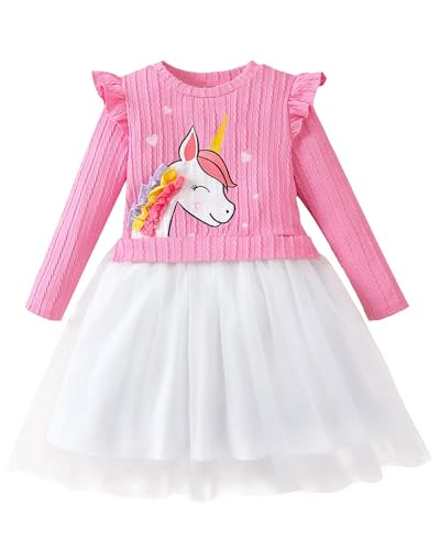 Rosibel Toddler Girl Tutu Dress Girls Long Sleeve Autumn Spring Tulle Casual Dresses for 2-7 Years