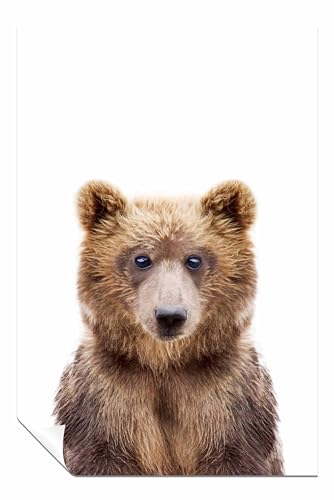 Poster bébé ours 61x41cm sans cadre pour mur de chambre d'enfant