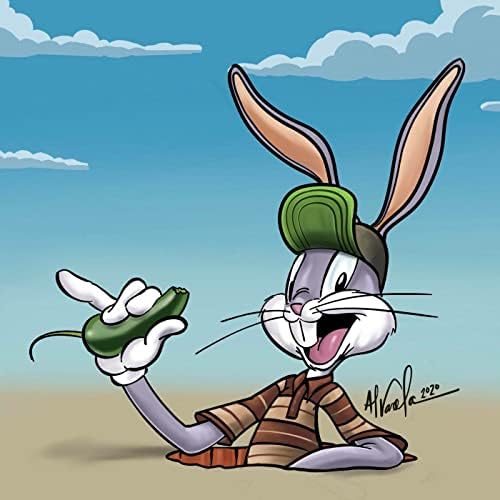 DJ LOONEY TUNES