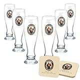 🍻 𝐎𝐅𝐅𝐈𝐙𝐈𝐄𝐋𝐋𝐄𝐒 𝐅𝐑𝐀𝐍𝐙𝐈𝐒𝐊𝐀𝐍𝐄𝐑 𝐆𝐋𝐀𝐒 - Das offizielle Franziskaner Glas mit Logodruck auf der Vorderseite des Glases. 6 Franziskaner Bierdeckel gibt es gratis dazu!