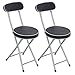 2er Set Klappstuhl Gepolstert, Klappstuhl Schwarz, Klappgartenstühle, mit Gepolsterter Sitzfläche, für Küche, Büro 74x35,5cm