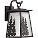 Progress Lighting Torrey Collection 1-Light Etched Seeded Glass Craftsman Outdoor Medium Wall Lantern Light Antique Bronze