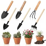 Mini set di attrezzi da giardino, 6 pezzi, piccoli attrezzi da giardino, per piante da appartamento e piante grasse, strumento manuale per travasare e allentare il terreno