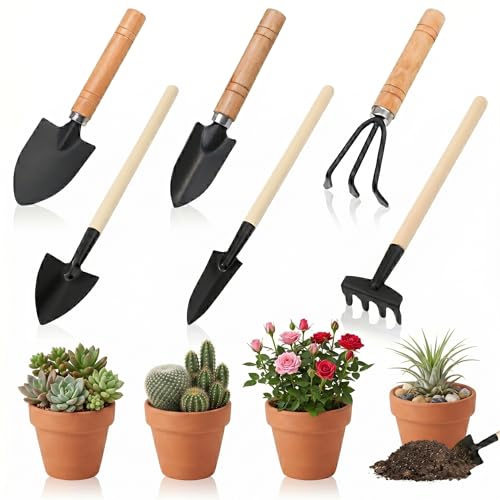 Mini set di attrezzi da giardino, 6 pezzi, piccoli attrezzi da giardino, per piante da appartamento e piante grasse, strumento manuale per travasare e allentare il terreno