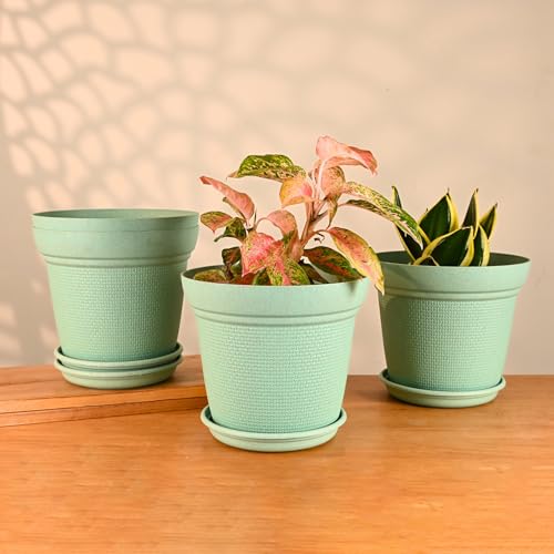 Eha Earth-Friendly Aura 10 Inch Plant Pot Made with Rice Husk, Pack of 4