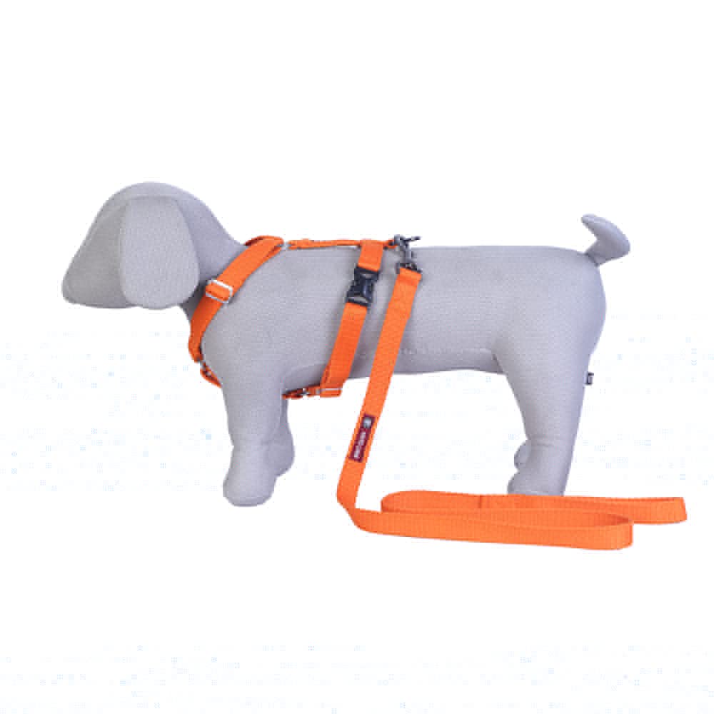 Pets Like Spun Poly H Harness with Leash Set Orange (Medium) (B09D38SGRY) Amazon Price History, Amazon Price Tracker