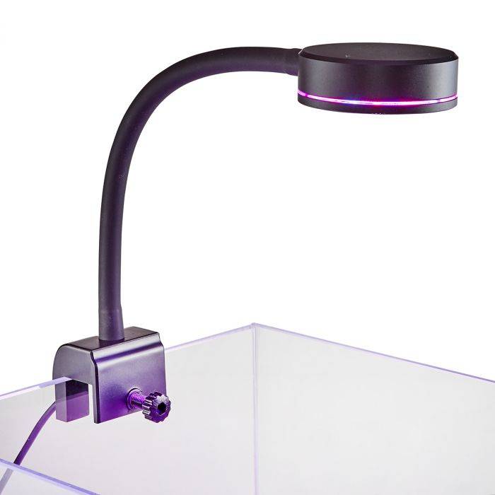 Pico Reef And Salt Water LED Light Marine Addict (B0D4JFW6RX) Amazon Price History, Amazon Price Tracker