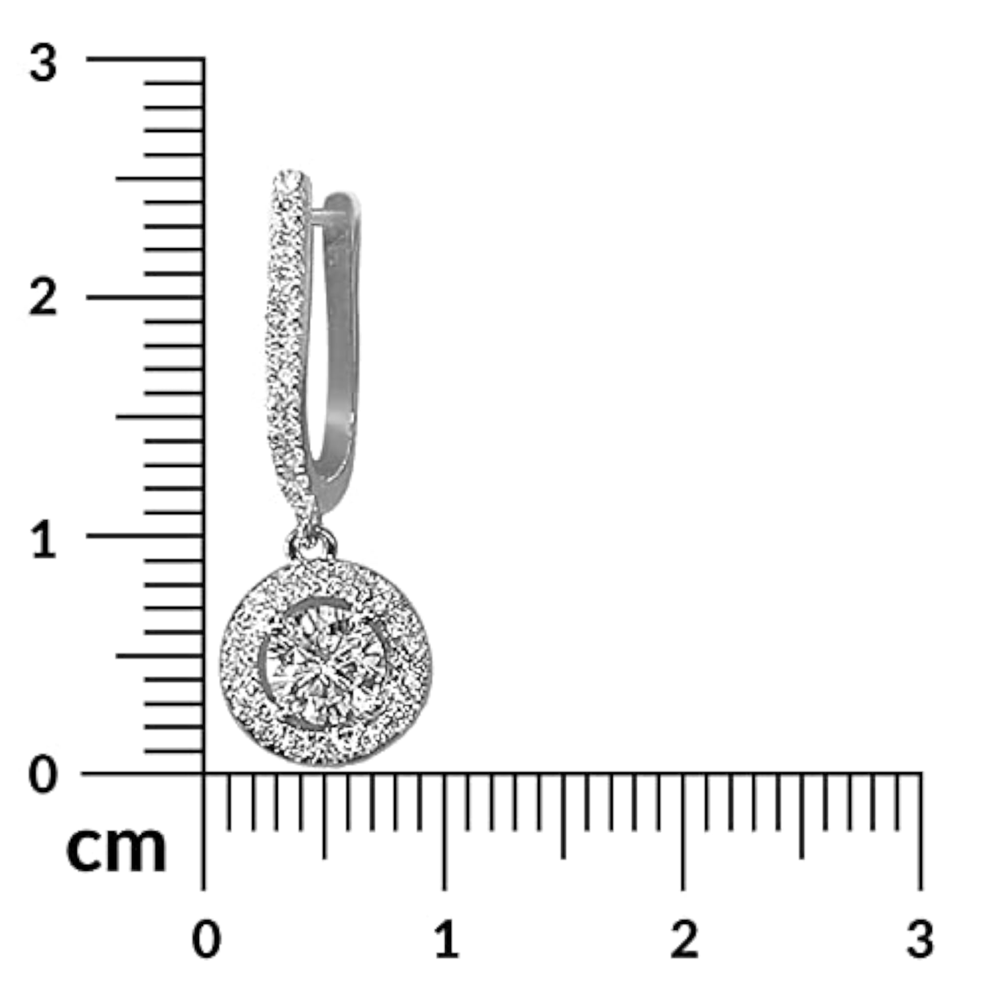 Women's American Diamond Studded Silver Plated Hoop Drop Earrings