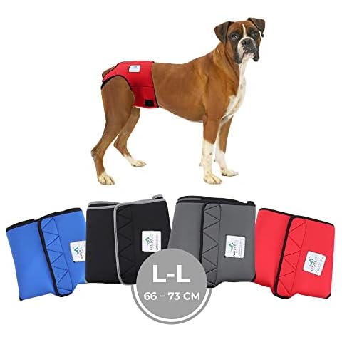 Braguitas Protectoras de Neopreno para Perros Hembra y Macho Cover