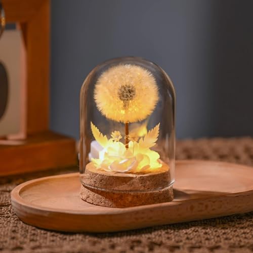 Flor seca inmortal con luz nocturna diente de león miniatura 1
