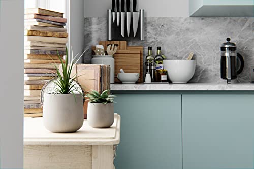 Avera Stone Natural Century 6" & 4" Concrete Planter | Indoor Or Outdoor Cement Planter | Perfect For Your Succulents Or Small Plants | Replace Your Ceramic Planter With This Lightweight Cement #TOP4