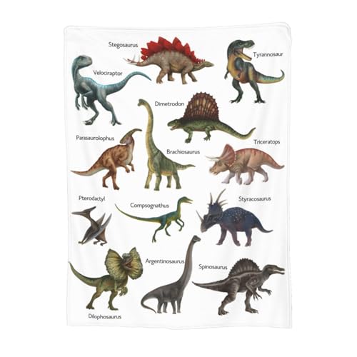 Newhomestyle Dinosaurier-Überwurfdecke für Jungen und Kinder, weiche und...