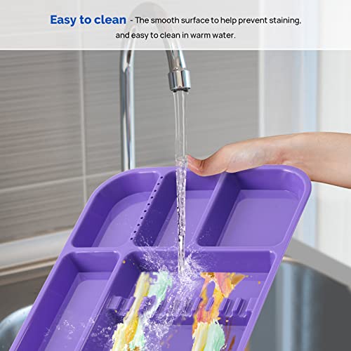 Dental Instrument Tray Separate Tray Autoclavable Plastic Divided Trays Size B For Medical Tattoo And Beauty Salon  (1, Purple) #TOP4