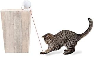 PetSafe Zoom Rotating Laser Cat Toy, White, (Model: PTY00-17050)