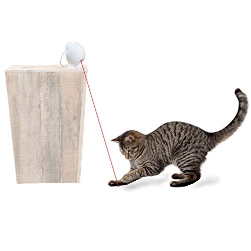 PetSafe Zoom Rotating Laser Cat Toy, White, (Model: PTY00-17050)